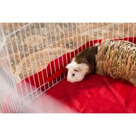 Prevue Pet Products Grass Tunnel